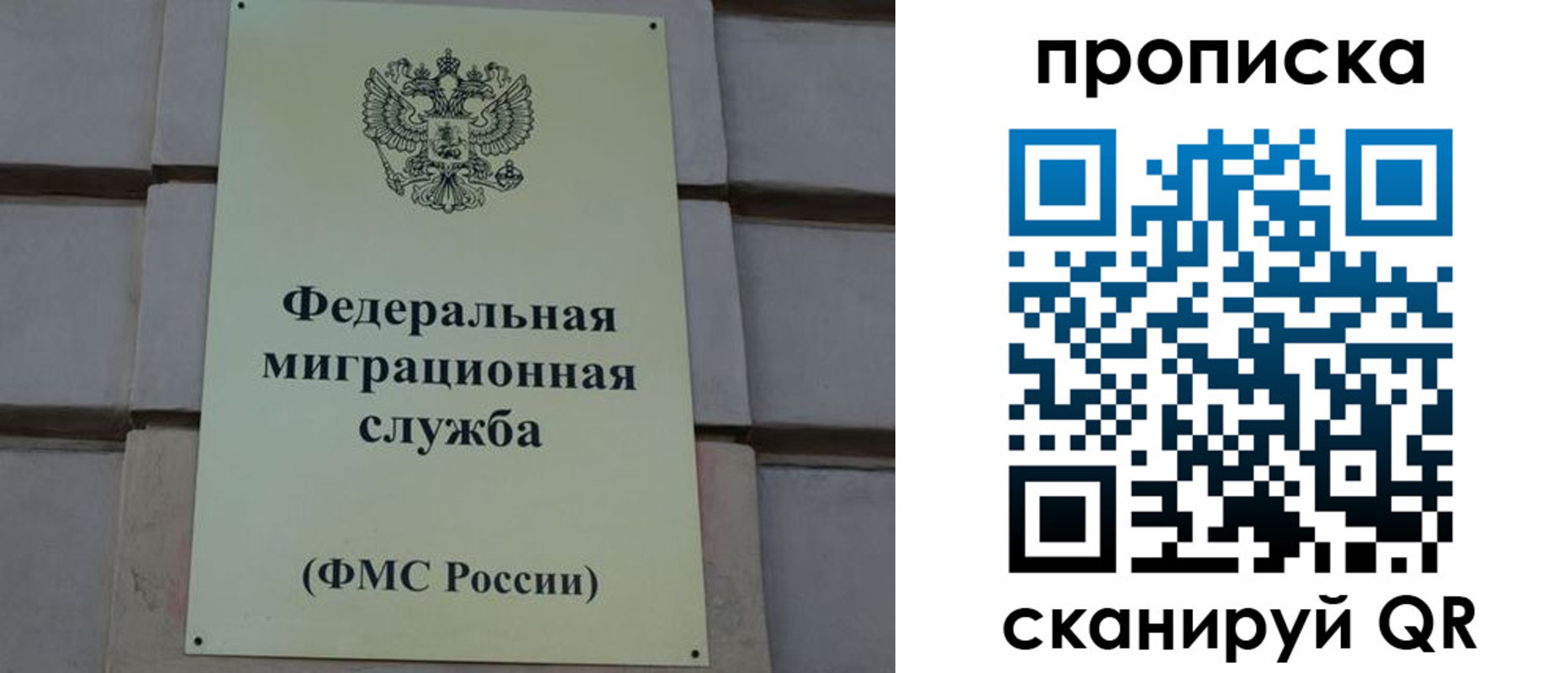 прописка поиск в Ивановской области